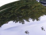 C4Reflections4small.jpg